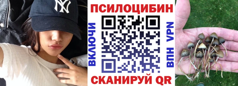 Галлюциногенные грибы мицелий  где найти наркотики  Сибай 
