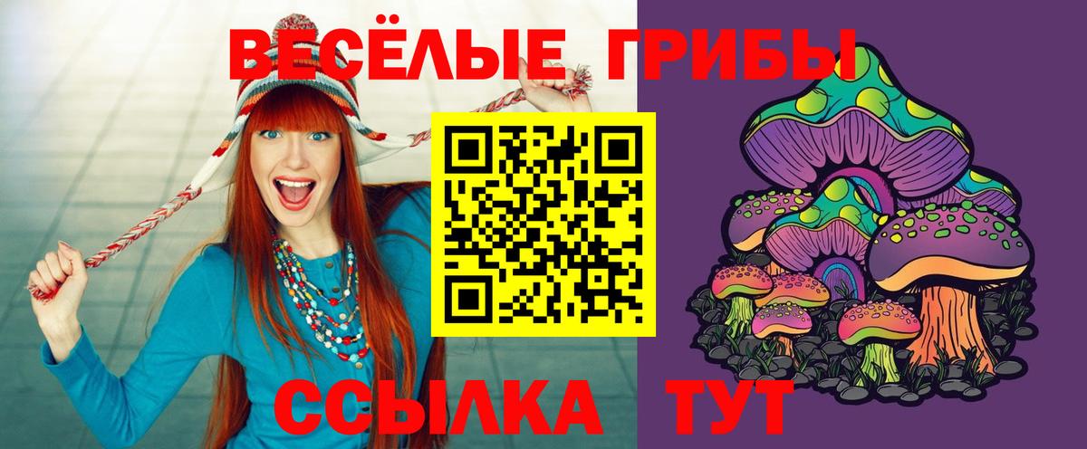 Галлюциногенные грибы мухоморы Сибай