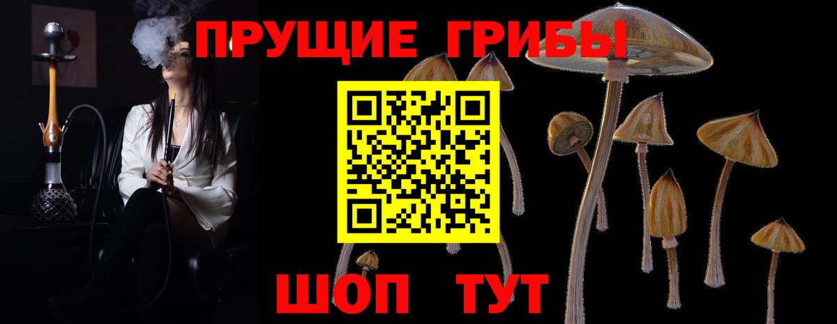 Сибай  Галлюциногенные грибы прущие грибы  Псилоцибиновые грибы Cubensis  Вход с VPN 
